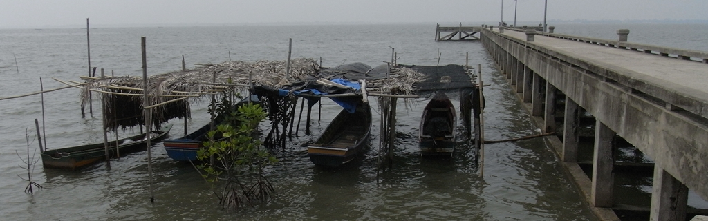 วิถีชาวเรือ การหาเลี้ยงชีพในอ่าวด้วยเรือหางยาว ตราบเท่าความสมบูรณ์ที่มี